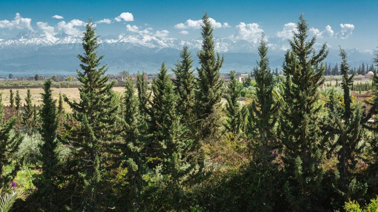 L'Oliveraie De L'Atlas Douar Caid Layadi Luaran gambar